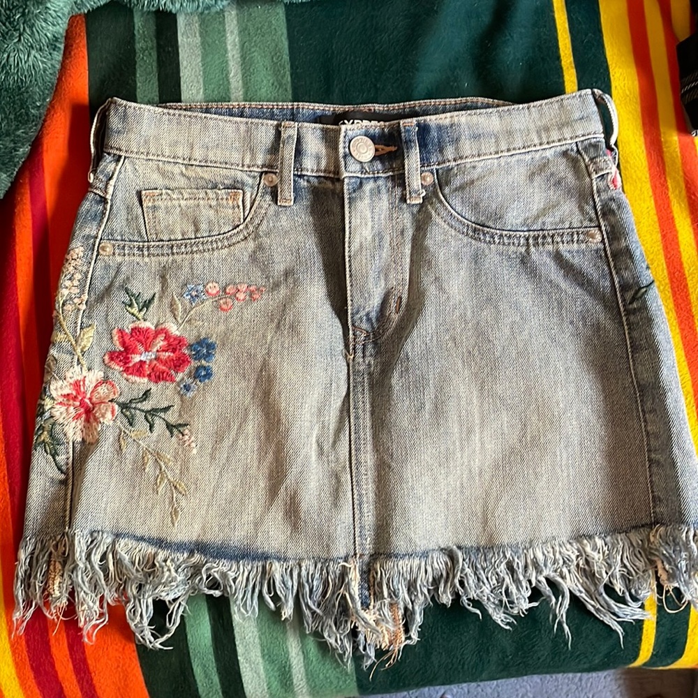 Express Embroidered Mini Skirt NWOT 00